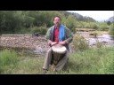 Your True Nature - Ilan Shamir