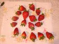 Strawberry Fields Forever