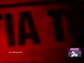 P.S - berdzeni msaxiobis mkvleloba,qartveli ejvmitanili-02.0