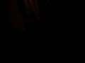 videos de MOV02256