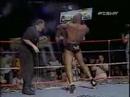 barreto vs  hinkle  vale tudo 
