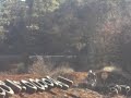 motocross motocross