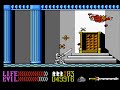 final battle vs. malkil. ending is included and i added in something at the end of the video too :p i did cheat but the cheats had nothing to do with my life or lives so this boss battle is totally legit. also, when he asks kuros to join him, if you choose yes, he calls kuros foolish and then kills him, prompting the game over screen. i don't really know what to say about the game. it wasn't horrible but the first w&w is still my favorite of the trilogy.