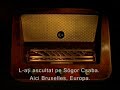 Clip electoral al UDMR cu S�gor Csaba