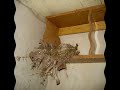 Watch 'Verlassene Orte Teil 22 part1'