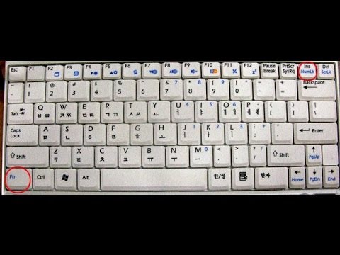 how to number lock on laptop