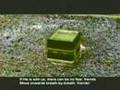 Ahmadiyyat will be in Majority one Day {Urdu}