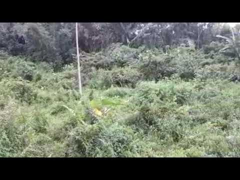 Zatrzymujesz się na jedyneczkę w lesie, a tu niespodzianka…