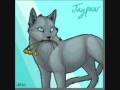 videos de cats, im a kity cat