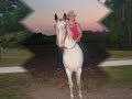 Painted Acres\