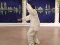 Tai chi 24 forms part 7 b - Tai Chi