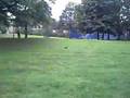 Parklife 1 - Peckham
