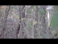 Maryland bowhunting 2009