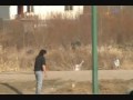 View Video