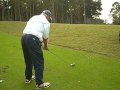 I Am Tiger Woods
