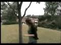 videos de Tig