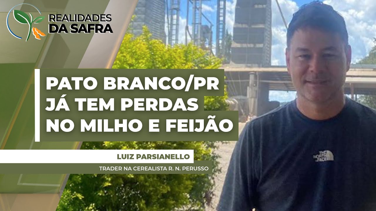 Após boa safra de soja, Pato Branco/PR já registra perdas no milho e no feijão