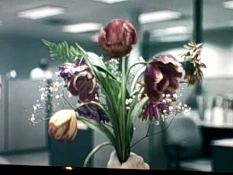 teleflora superbowl 43 commercial