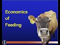 fatcow special discount 3 67 per month fatcow special discount 3 67 per month