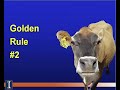 fatcow special discount 3 67 per month