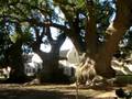 Ecotour13