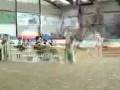 videos de 5 yrs 2 mths 15 hh Black Warmblood Carlisle
