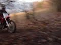 CRF250R