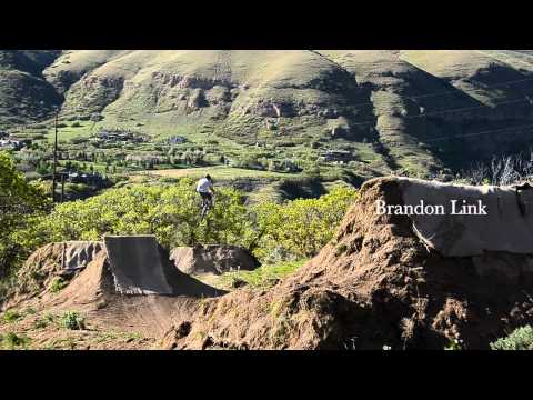chain reaction cycles