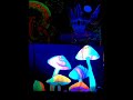 Infected Mushroom- Suliman