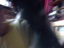 J BLOG 3 PT 1