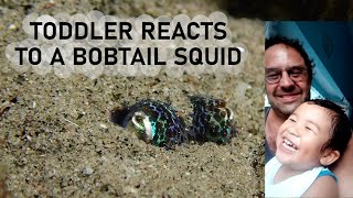 Toddler Reacts To A Bobtail Squid