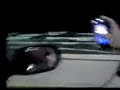 Thumbnail #1