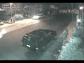 RATEROS EN SAN JOSE DEL CABO EN  DENUNCIALOS SI LOS CONOCES