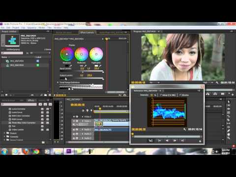 Premiere Pro Tutorials - COLOR CORRECTING and COLOR GRADING - Part 1