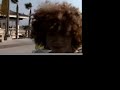 Banana Dance