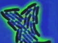 Siriun Geometry - \"Wormwood\"