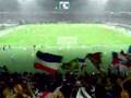 Yokohama F Marinos　-　supporter