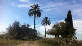 قرية القبيبة الفلسطينية المحتلة عام 1948 (1) قرية القبيبة الفلسطينية المحتلة عام 1948 (1)