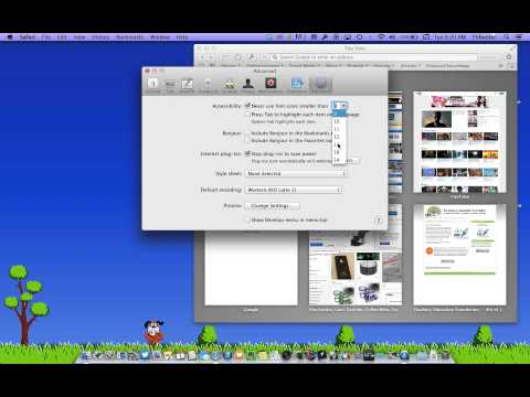 how to adjust zoom in safari