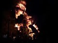 crema fallas 2007