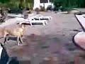 mika piscina!1