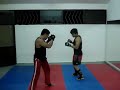 roberto cetina vs amerio