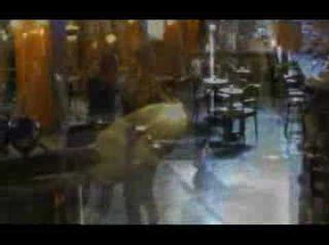 Diego Luna video