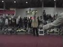 KCSP GRAND PRIX DOG SHOW BIS
