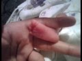 In loving memory of Baby Boy. (23 wks gestation)