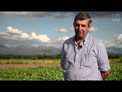 Roullier -