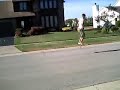 The race is on... pogo sticks The race is on... pogo sticks