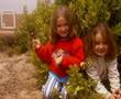 Bajada 2005, El Hierro