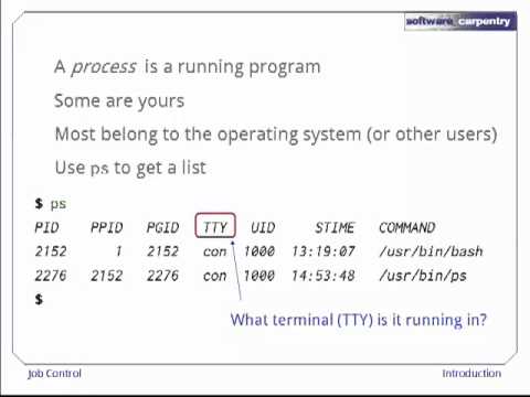 how to use control c in shell script