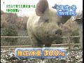 ???????? ??????????????? ???????? ???????????????
